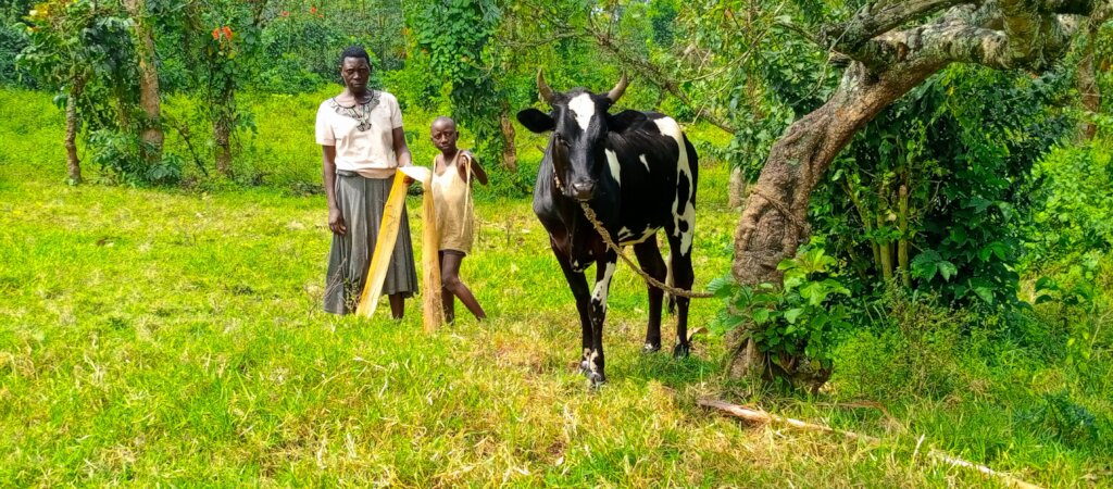 The Young Mother and Her Daughter Receiving cow