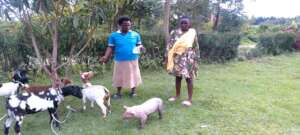 Young Mothers and Animals