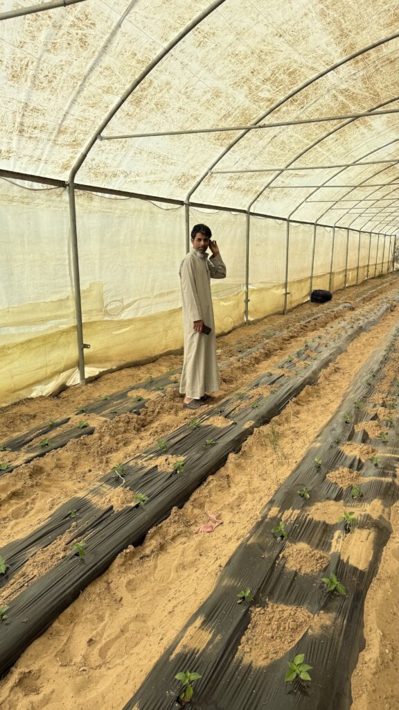 Smart Water Management for Small Farmers in Egypt