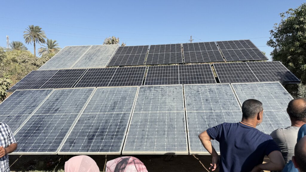 Smart Water Management for Small Farmers in Egypt
