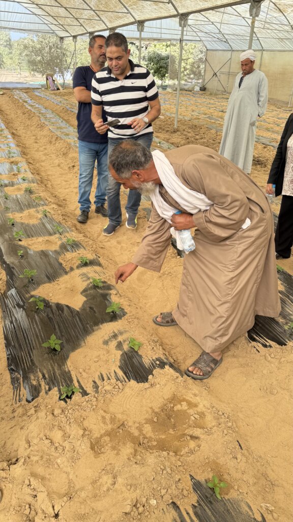 Smart Water Management for Small Farmers in Egypt