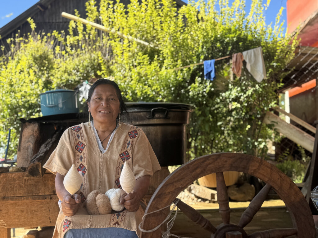 Empower Indigenous Women Weavers in Latin America