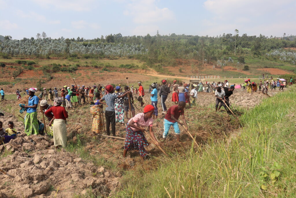 Support Dufatanye's Growing Imapct