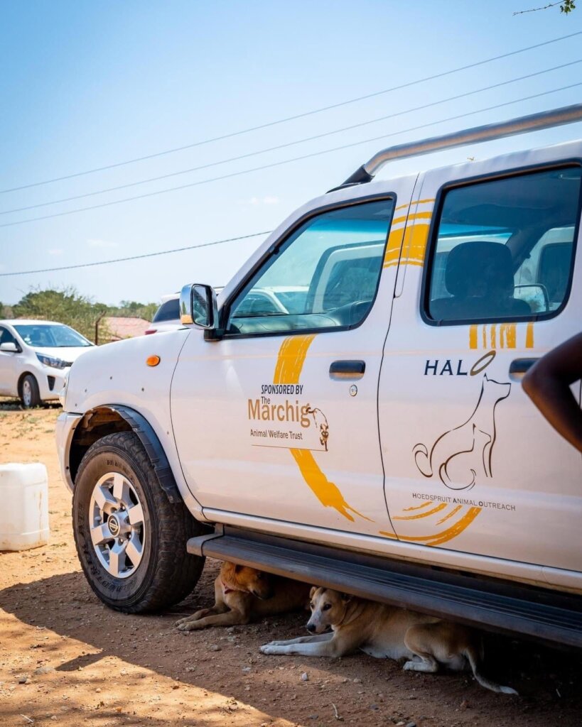 Animal ambulance service