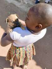 Puppy care