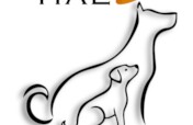 Animal ambulance service