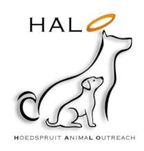 Animal ambulance service