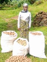 Women's potatoes empowerment project kisoro