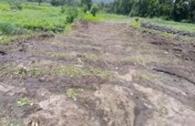 Kisoro community  conservation project