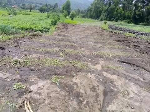 Kisoro community  conservation project