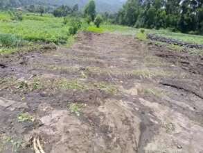 Kisoro community  conservation project