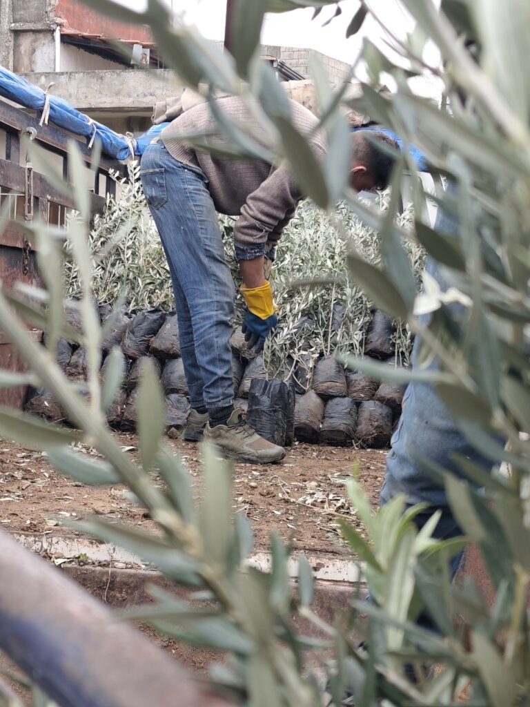 Enduring roots: replanting Christian Valley