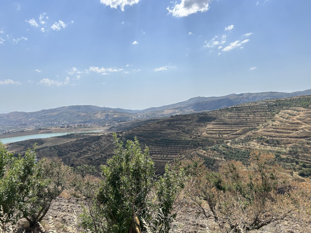 Enduring roots: replanting Christian Valley