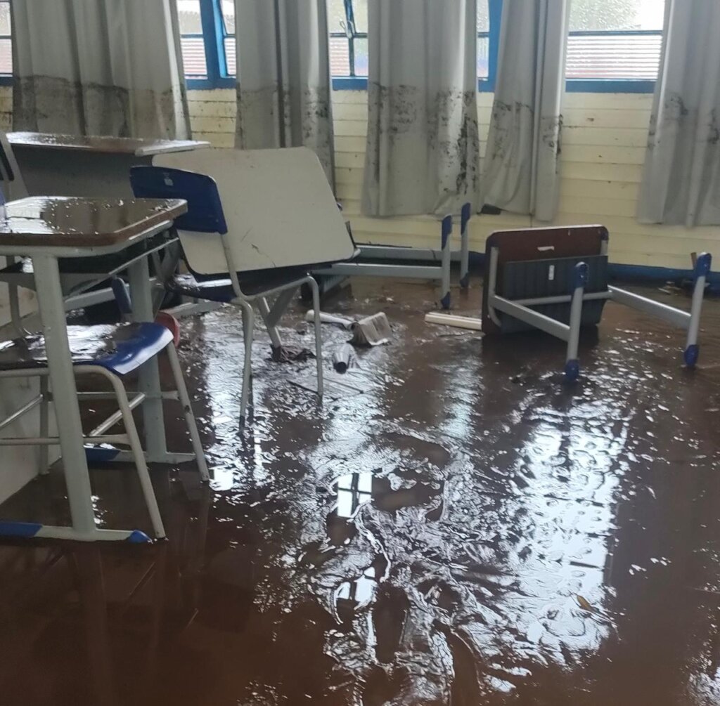 Education in Emergencies in Brazil