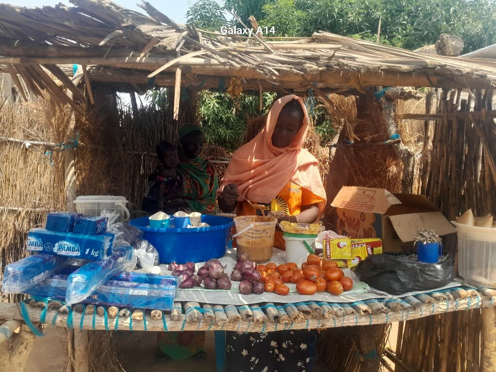 TISS: Help Refugees Heal and Build Livelihoods