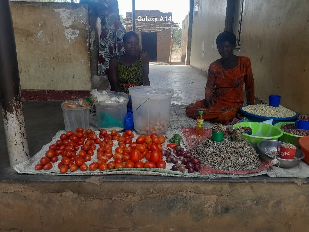 TISS: Help Refugees Heal and Build Livelihoods