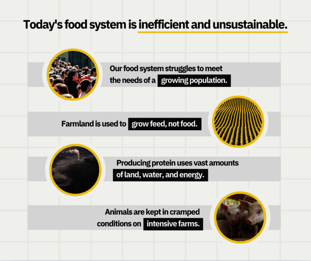Transform Our Food System to Fight Climate Change