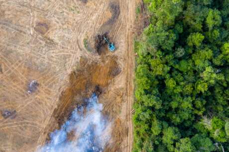 Transform Our Food System to Fight Climate Change