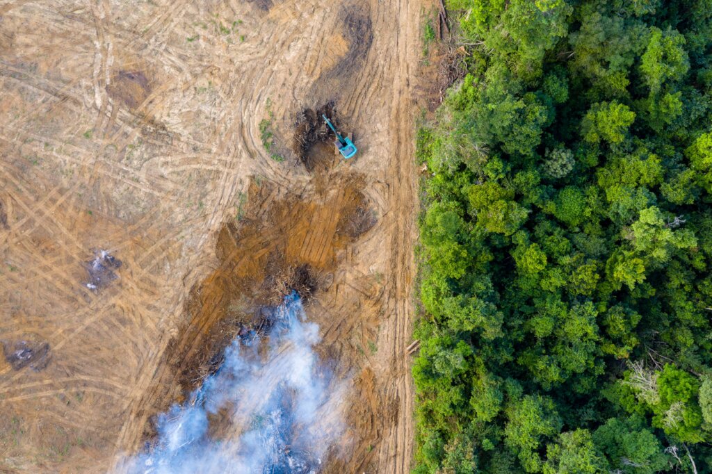 Transform Our Food System to Fight Climate Change