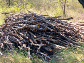 Branches piling up for removal