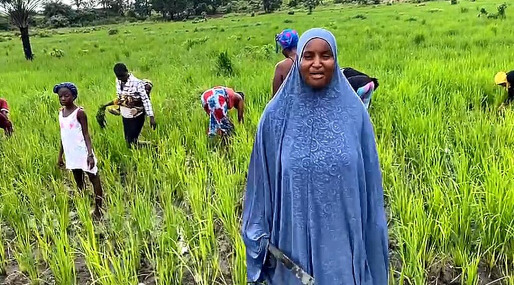 She grows campaign!! (Rural communities, Freetown)
