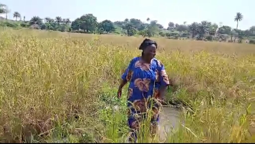 She grows campaign!! (Rural communities, Freetown)