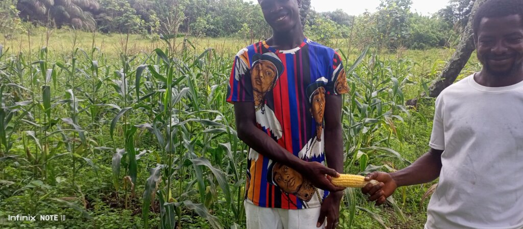 She grows campaign!! (Rural communities, Freetown)