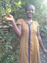 Fruit trees- sustainable commercial farming