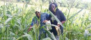 She grows campaign!! (Rural communities, Freetown)