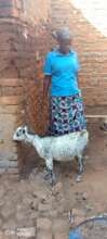 ovc CARETAKER