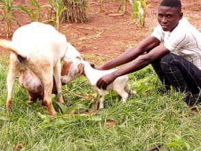 Samuel, an orphan poses for a photo with his goat