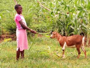 Sharlon, an orphan feeds her she goat she recieved
