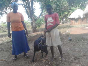 Evaline and the Aunt together with their goat
