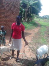 Graduated beneficiary with her goats