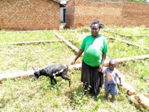NITE WITH ORPHAN AND HER GOAT