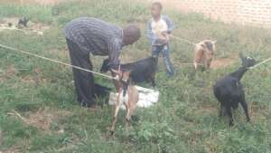 OVC CARE TAKER
