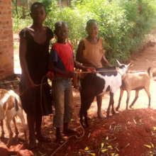 ORPHANS WITH GOATS AT HOME