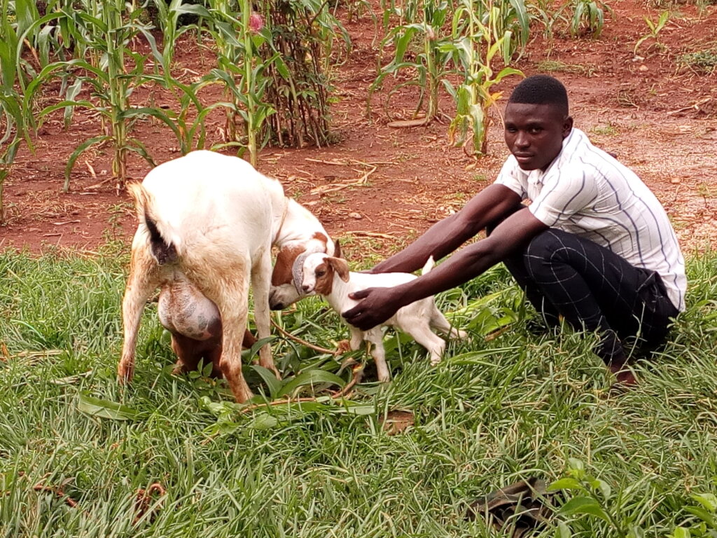 Help180 orphaned households access income & food