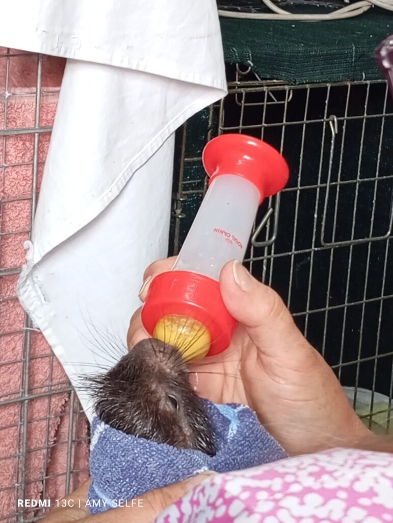 Nourish Nature's Needy in the Western Cape