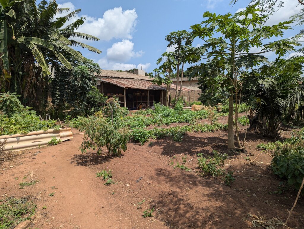 Expand Mental Healthcare to Nigeria!