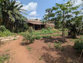 Gardens will be included in Nigeria.