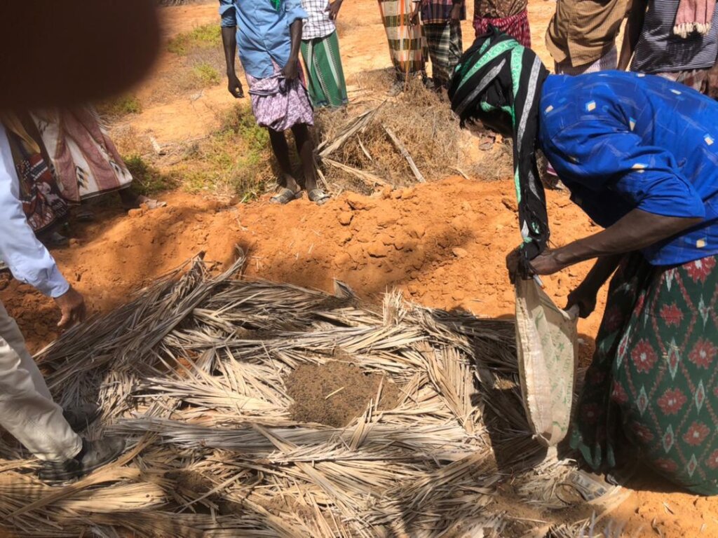 Help Somali Farmers Bring Life Back to Their Soil.