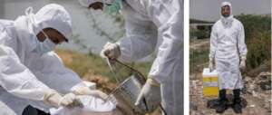 Lab techs take water samples at Bhalswa Lake
