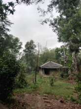 The Grove, the women's meeting space