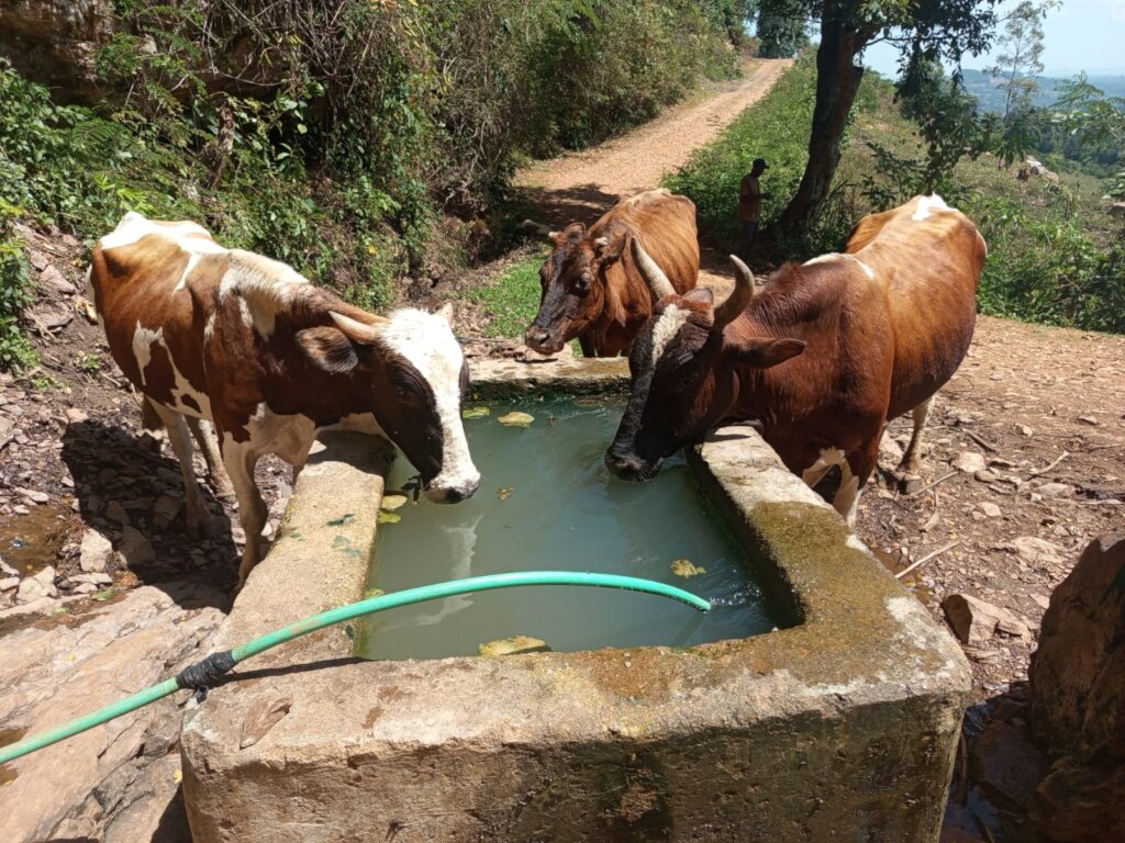 Clean water Kenyan families when Every Drop Counts