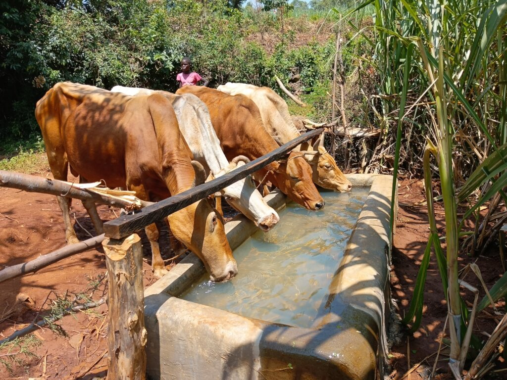 Clean water Kenyan families when Every Drop Counts