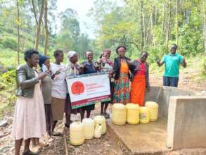 Spring protections have collection point with tap