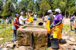 Community spring protection collection point