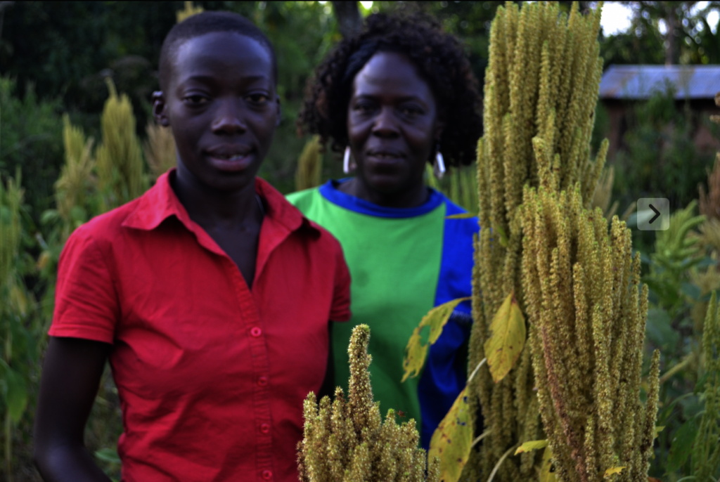 Climate-Smart Farming for the Longterm in Uganda!