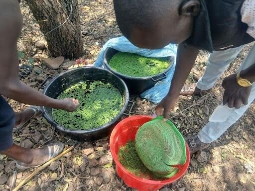 Bring Hope to 750 Children and Families in Kenya